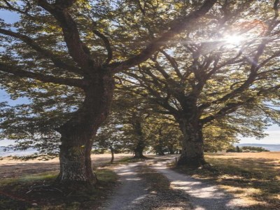 Holiday house Gruppenurlaub mit Garten in der Toskana - Environment photo 26