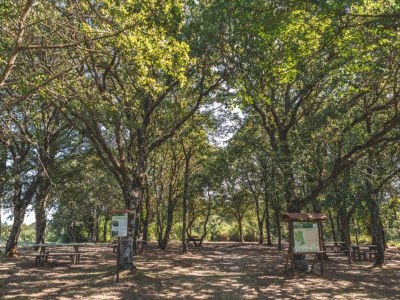 Holiday house Gruppenurlaub mit Garten in der Toskana - Environment photo 28