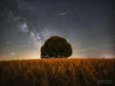 Holiday house Gruppenurlaub mit Garten in der Toskana - Environment photo 29