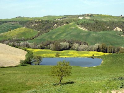 Holiday house Gruppenurlaub mit Garten in der Toskana - Environment photo 31