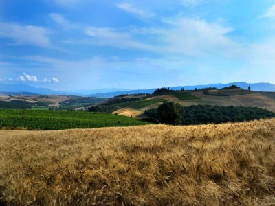 Holiday house Gruppenurlaub mit Garten in der Toskana - Environment photo 32