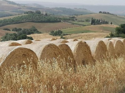 Holiday house Stylish Cetona Apartment with Pool - Environment photo 33