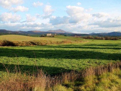 Holiday house Stylish Cetona Apartment with Pool - Environment photo 35
