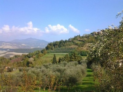 Holiday house Stylish Cetona Apartment with Pool - Environment photo 36