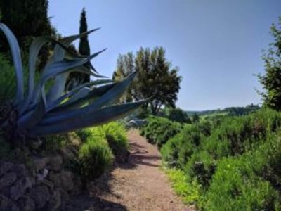 Holiday house Toskanischer Kurzurlaub mit Pool - Environment photo 24