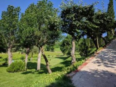 Holiday house Toskanischer Kurzurlaub mit Pool - Environment photo 25