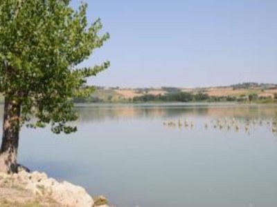 Holiday house Toskanischer Kurzurlaub mit Pool - Environment photo 31