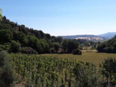 Holiday house Toskanischer Kurzurlaub mit Pool - Environment photo 37