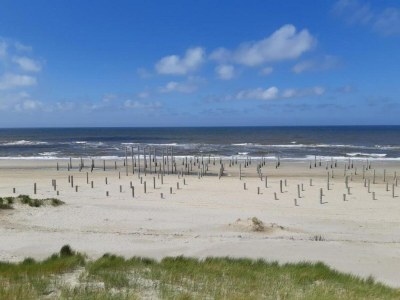 Holiday house Apartment in Petten near the Beach - Environment photo 19