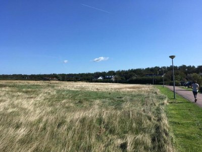 Holiday house Apartment in Petten near the Beach - Environment photo 25