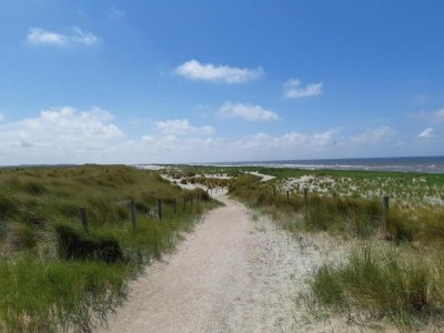 Holiday house Apartment in Petten near the Beach - Environment photo 29