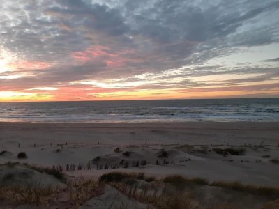 Holiday house Apartment in Petten near the Beach - Environment photo 36
