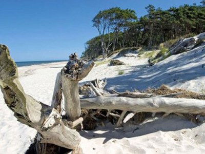 Holiday apartment Haus J. v. Eichendorff - Environment photo 14