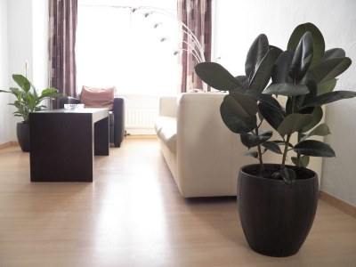 Holiday apartment House at Domburg - Features photo 3