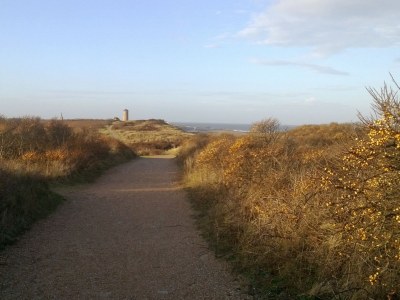 Holiday apartment House at Domburg - Environment photo 18