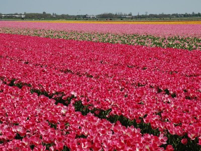 Holiday apartment Moritz 2 - Environment photo 20