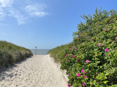 Holiday house Das Rote Landhaus - Environment photo 35