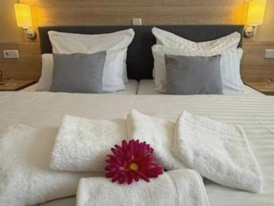 Apartment Kaiserhof Feldberg – Standard-Doppelzimmer - Features photo 17