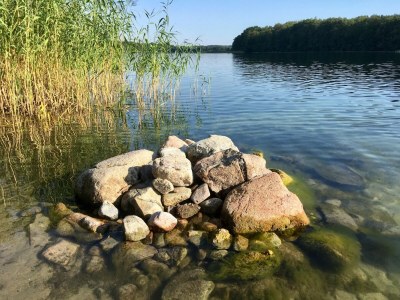 Apartment Kaiserhof Feldberg – Standard-Doppelzimmer - Environment photo 25