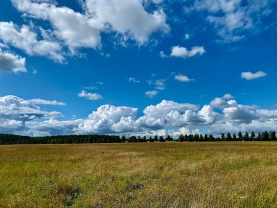Apartment Kaiserhof Feldberg – Standard-Doppelzimmer - Environment photo 27
