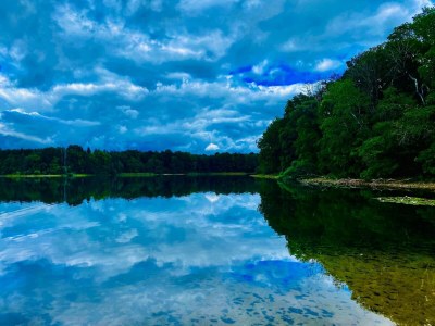 Apartment Kaiserhof Feldberg – Standard-Doppelzimmer - Environment photo 28