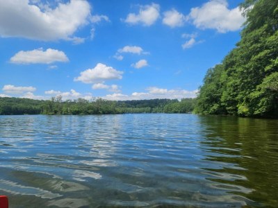 Apartment Kaiserhof Feldberg by Belvilla Resorts Single Room - Environment photo 20