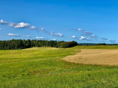 Apartment Kaiserhof Feldberg by Belvilla Resorts Single Room - Environment photo 25