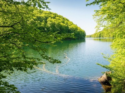 Apartment Kaiserhof Feldberg Superior Room with Balcony - Environment photo 18