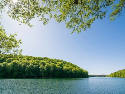Apartment Kaiserhof Feldberg Superior Room with Balcony - Environment photo 26