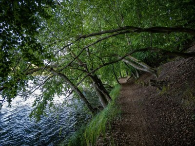Apartment Kaiserhof Feldberg Belvilla Resorts-Standard Suite - Environment photo 17