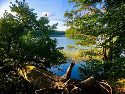 Apartment Kaiserhof Feldberg Belvilla Resorts-Standard Suite - Environment photo 21