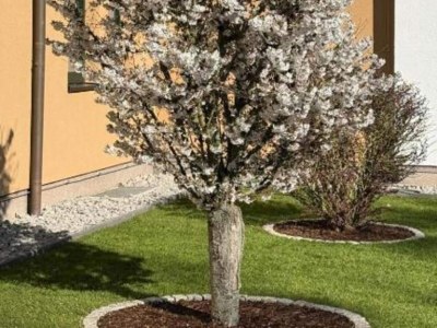 Apartment Kaiserhof Feldberg by Belvilla Resorts-Twin Room - Outdoor photo 7