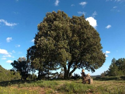 Cottage Ferienhaus in Montblanc mit Pool - Outdoor photo 13