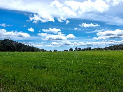 Cottage Ferienhaus in Montblanc mit Pool - Environment photo 39