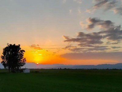 Holiday house Mas Midó century-old farmhouse in Deltebre - Outdoor photo 9