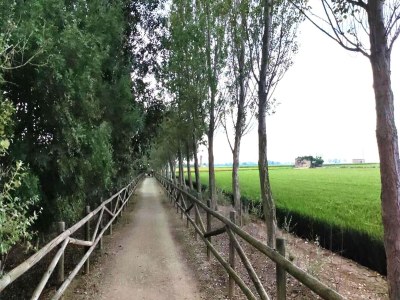 Holiday house Mas Midó century-old farmhouse in Deltebre - Environment photo 36