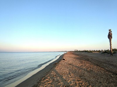 Holiday house Mas Midó century-old farmhouse in Deltebre - Environment photo 38