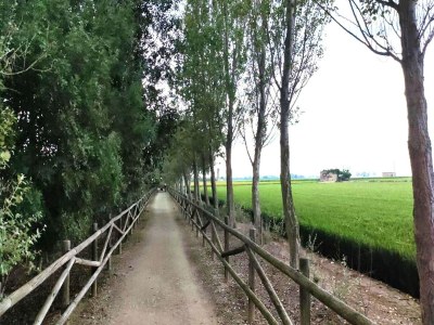 Holiday house Mas Midó century-old farmhouse in Deltebre - Environment photo 40