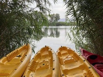 Holiday house Mas Midó century-old farmhouse in Deltebre - Outdoor photo 43