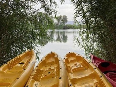 Holiday house Mas Midó century-old farmhouse in Deltebre - Outdoor photo 44