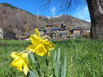 Holiday house Casa La Pica mit Zugang zum Garten - Environment photo 17