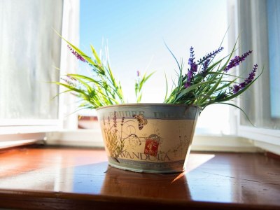 Apartment Rooms Lavanda & Ruzmarin - Double Room with Private Bathroom - Outdoor photo 10