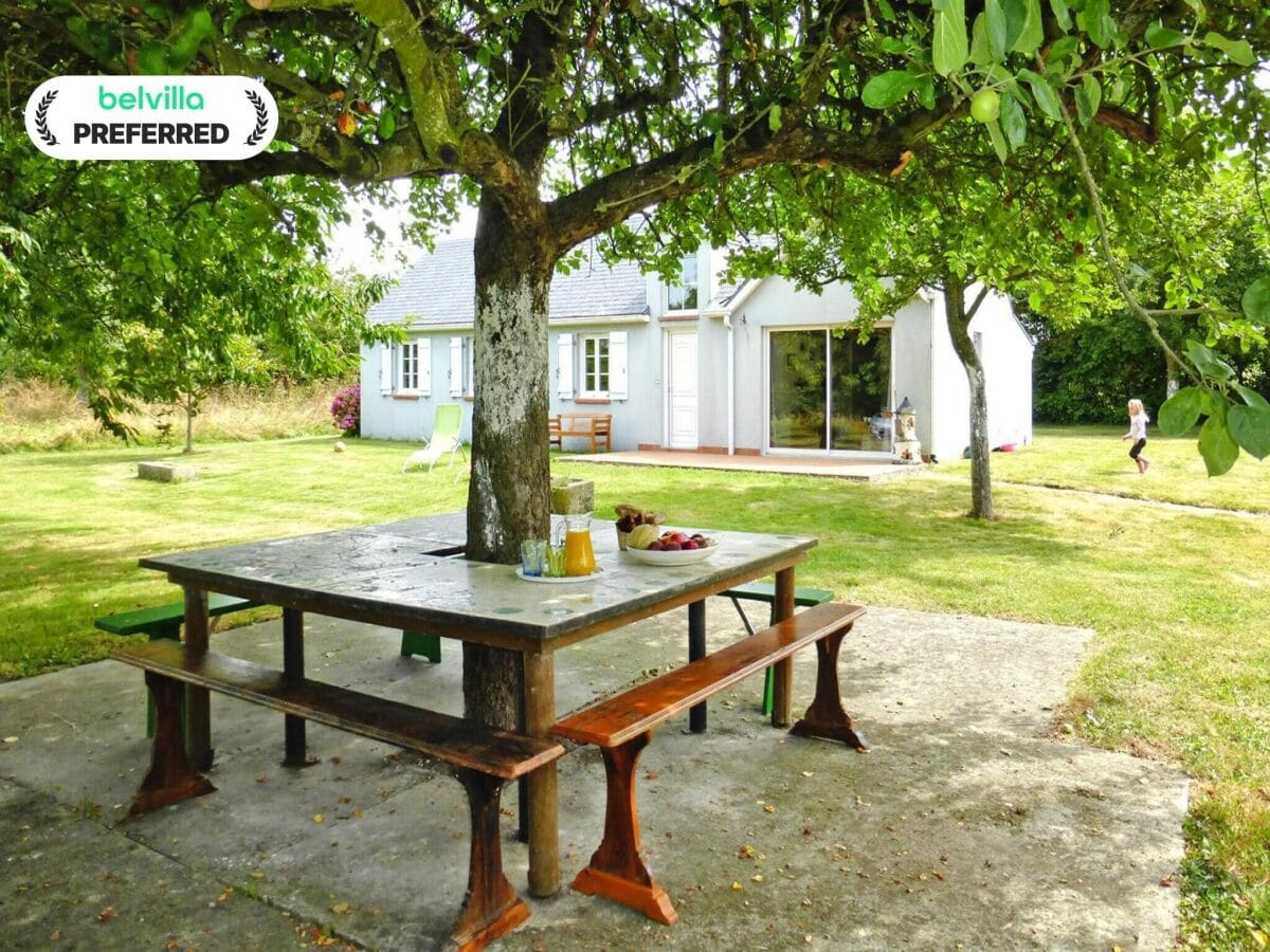 Holiday house House and huge garden surrounded by apple trees