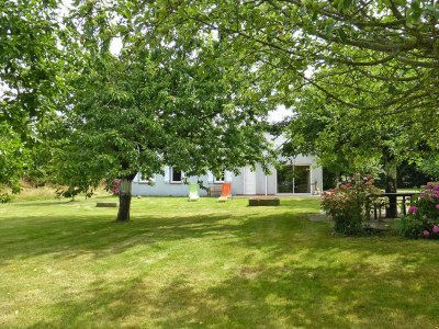 Holiday house House and huge garden surrounded by apple trees - Outdoor photo 3