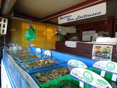 Holiday house House and huge garden surrounded by apple trees - Environment photo 18