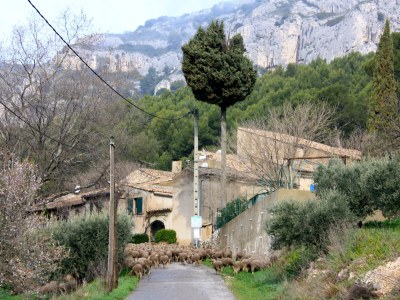 Holiday house in Provence - Environment photo 26