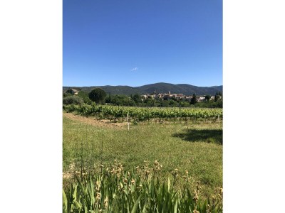 Holiday house in Provence - Environment photo 28