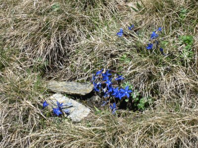 Alpine hut Suntinger Kasa - Outdoor photo 6