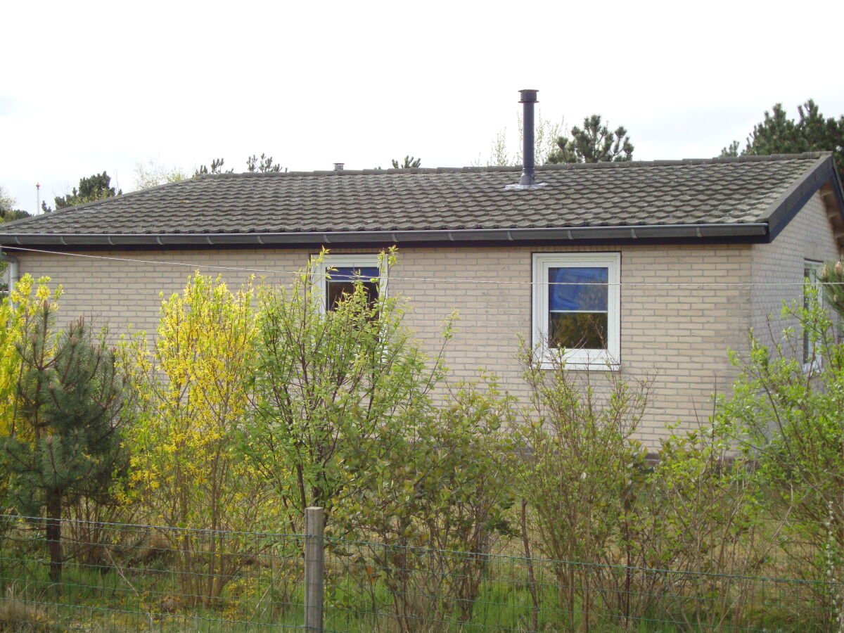 Bungalow Willemien - Outdoor photo 3