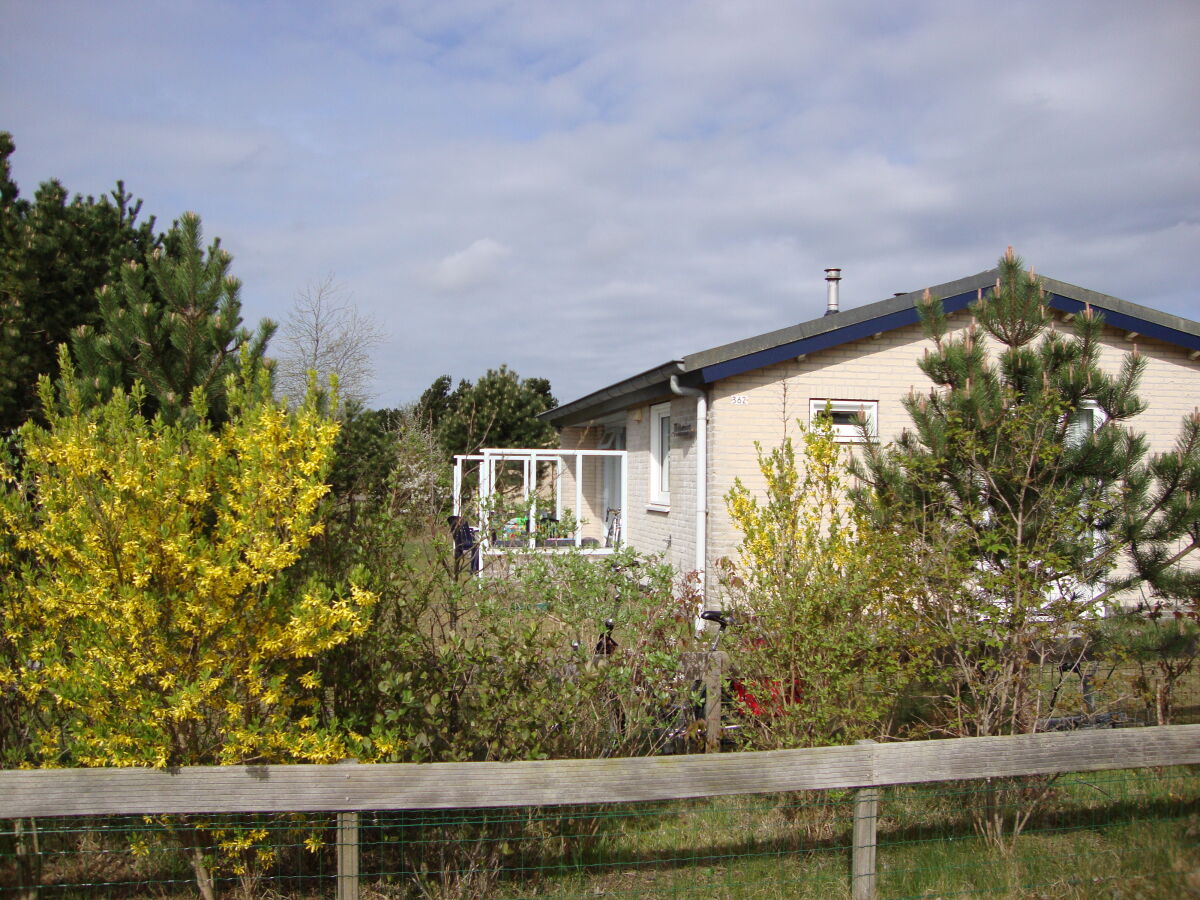 Bungalow Willemien - Outdoor photo 5